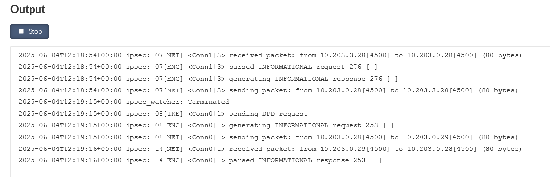 IPsec logs