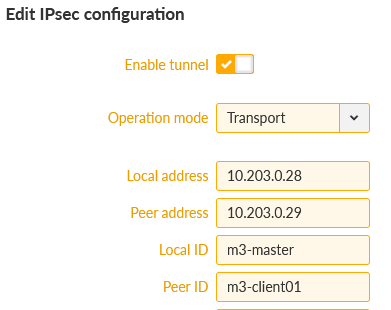 M3_Master 1st IPsec tunnel – Local address set to 10.203.0.28