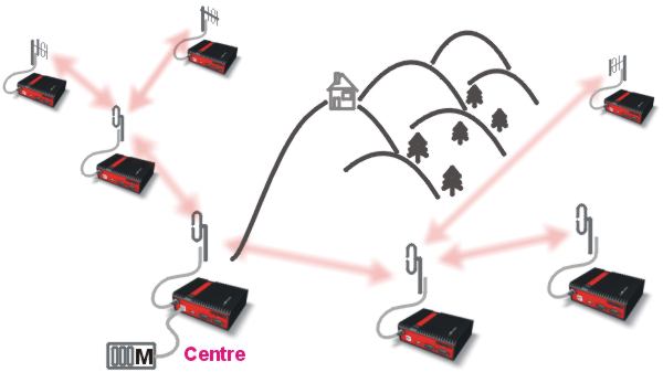 Isolated branches – more robust layout