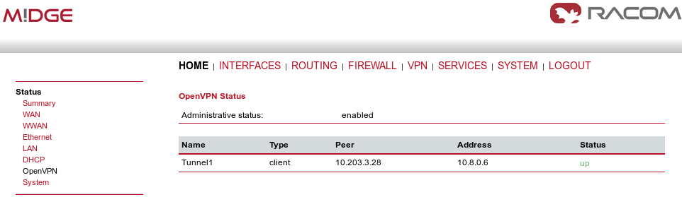 OpenVPN client – connected successfully