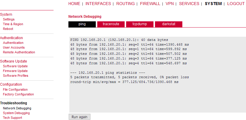 Successful Ping test results