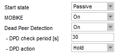 RipEX-Base IPsec parameters