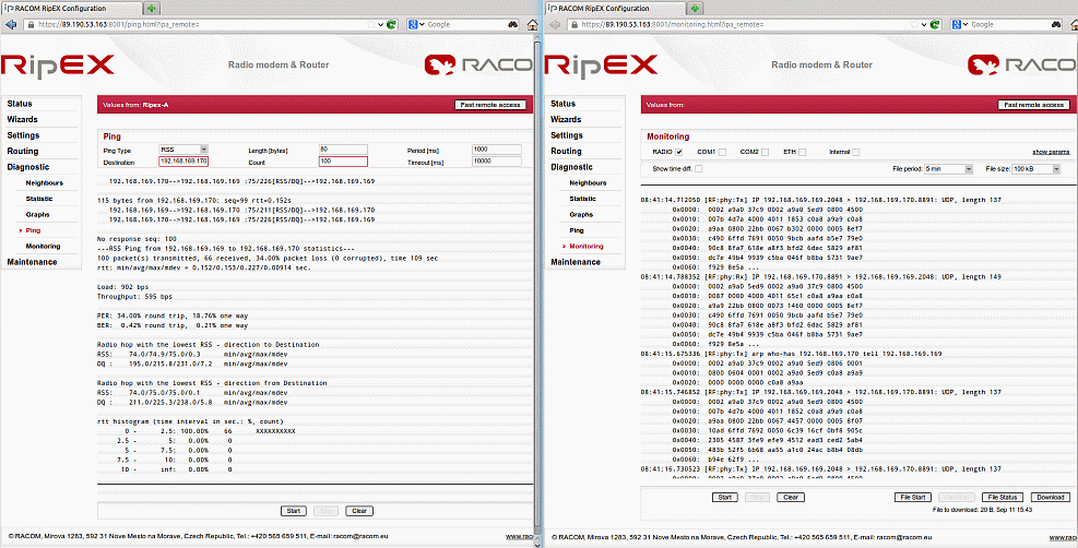 Monitoring the ping packets in two separate windows