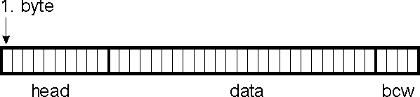 Data packet