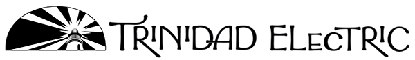 TrinidadElectricLogoBW